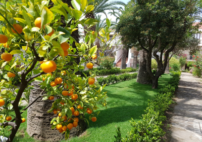 Villaggio Turistico Condominio La Tonnara Oliveri